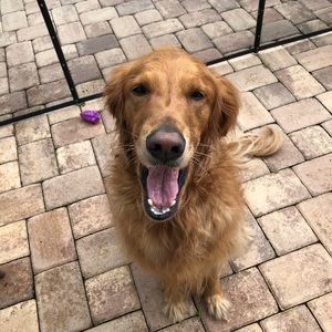 Meet your Posher, Billy